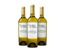 Wijnpakket Sauvignon le Blanc Pays d'Oc IGP (3 flessen)
