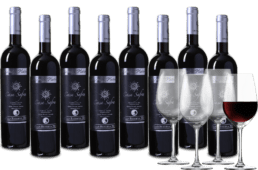 Wijnpakket Casa Safra Platino 8 flessen + 4 glazen