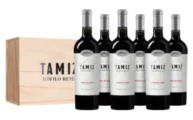 Teófilo Reyes - Tamiz 'Tradicion Familiar' 2024 Ribera del Duero (6 flessen in kist)