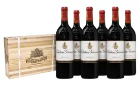 Château Giscours - Margaux 2022 '3e Grand Cru Classé' (6 flessen in wijnkist)